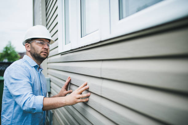 Best Brick Veneer Siding  in Lexico, CA